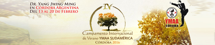 Campamento Internacional de Verano 2014 YMAA en Sudamérica